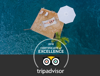 TripAdvisor Certificate of Excellence