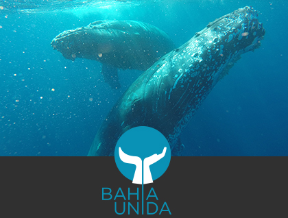 Bahia Unida
