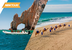 Cabo Adventures Swim With Dolphins ATV Tours Zip Line Tours