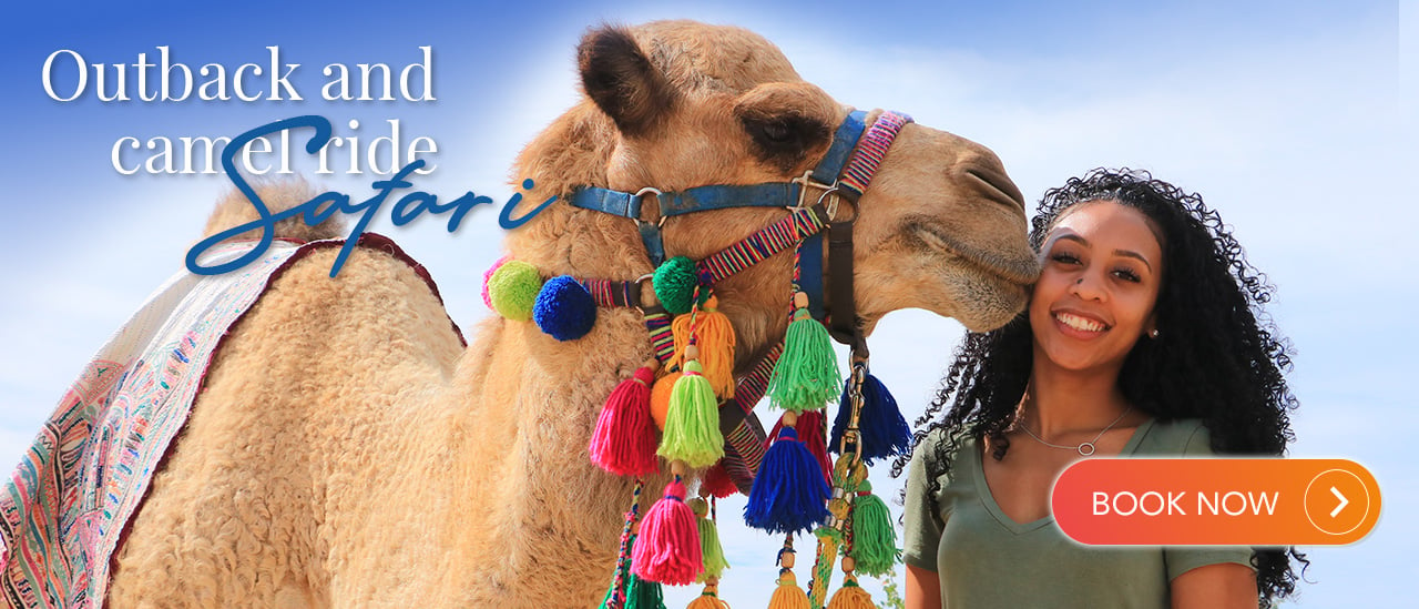 Outback and camel ride safari | Cabo Adventures