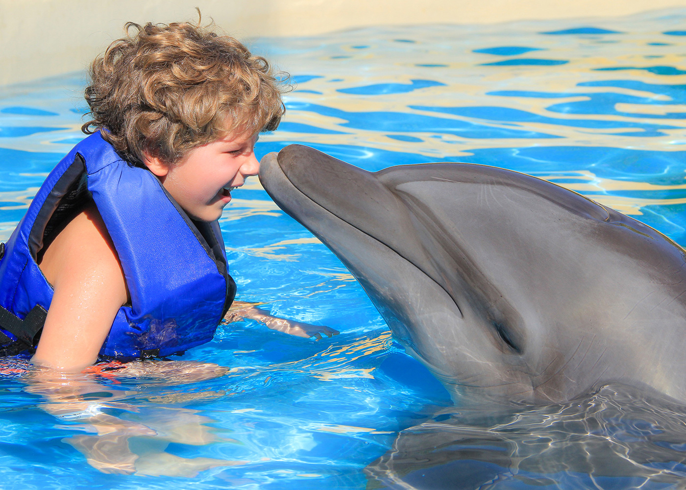 Kids dolphin interaction | Vallarta Adventures