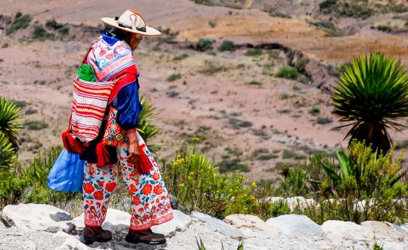 Huichol indigenous in his traditional clothing