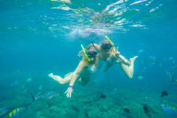Luxury Snorkeling in Cozumel - Bachelorette Party Activities