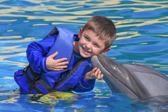 Little boy smiling while getting a kiss from a dolphin on Vallarta Adventures’ Dolphin Kids excursion
