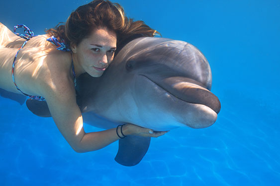 Dolphin with girl