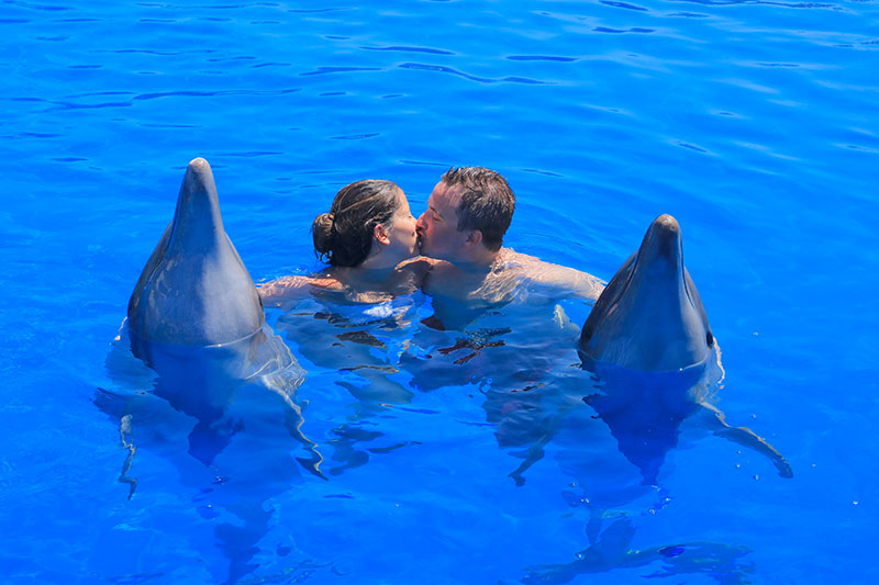 Private dolphin swim in Vallarta