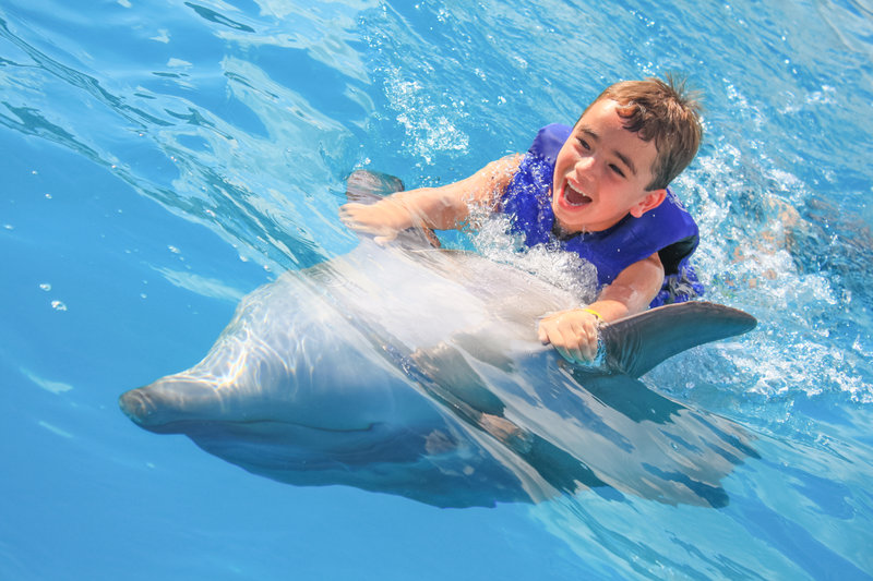 Cabo dolphin swim for kids