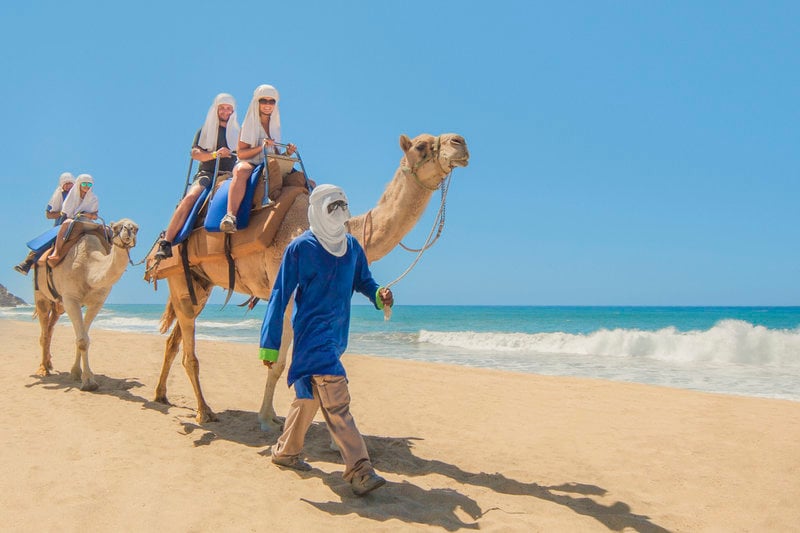 cabo vacationers on camel ride next to ocean