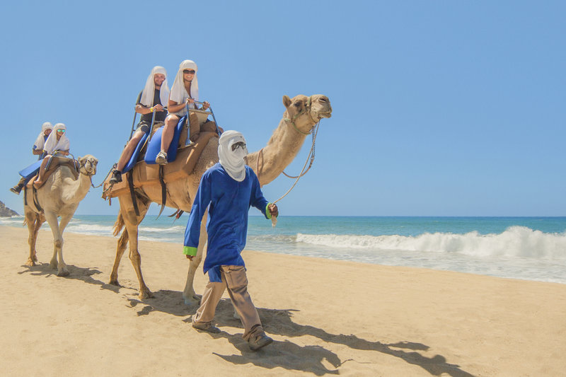 camel ride in cabo on the beach