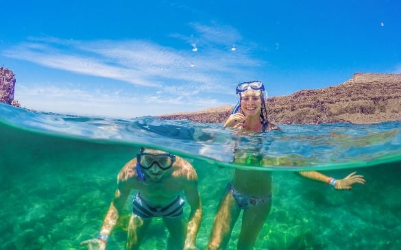 snorkeling in the Sea of Cortez 