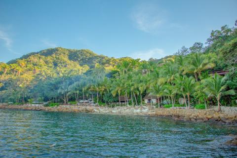 image of the shore of las caletas