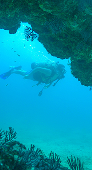 Go scuba diving in El Morro