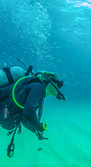 Certified Dive sites in Puerto Vallarta Mexico 