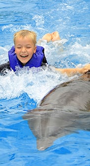 Nado con Delfines en Vallarta con Vallarta Adventures 4