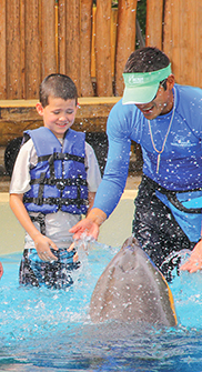  Swim with dolphins in Puerto Vallarta | Vallarta Adventures 2