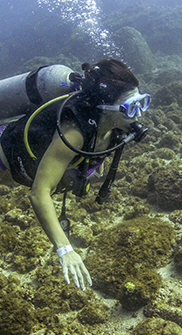 Buceo en Los Arcos con Vallarta Adventures