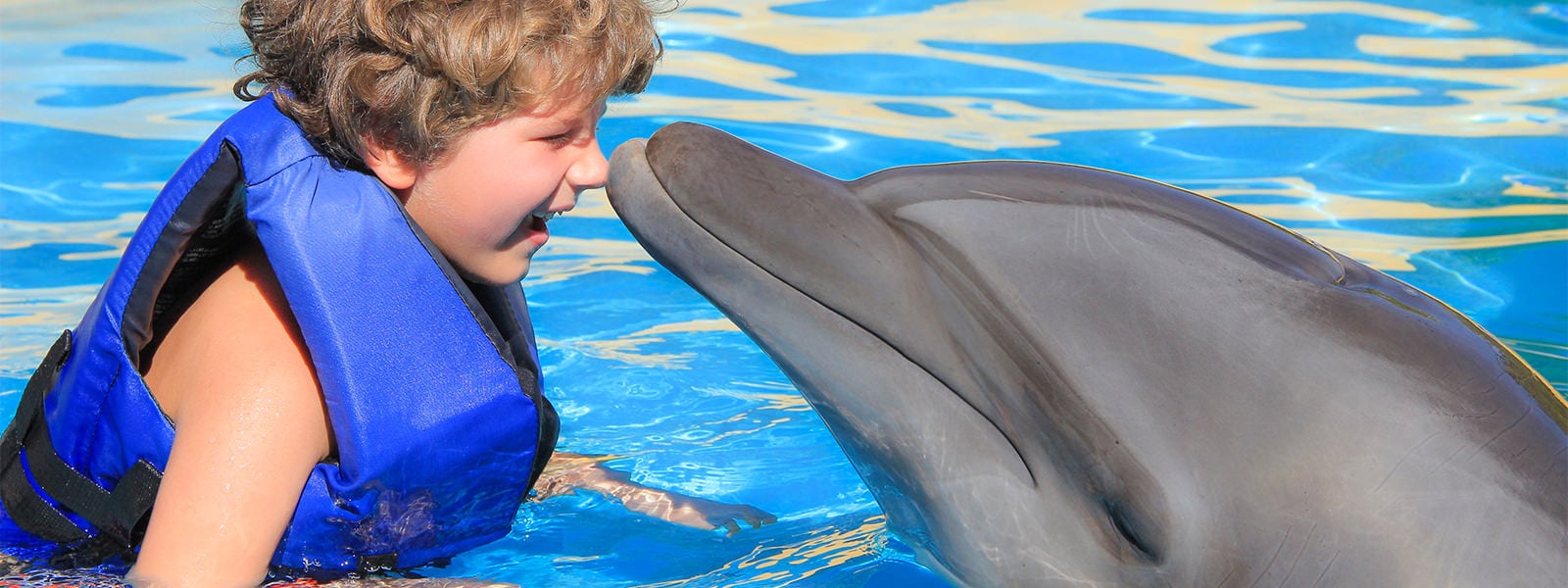 Kids dolphin program in Puerto Vallarta | Swim with dolphins in Puerto Vallarta | Vallarta Adventures