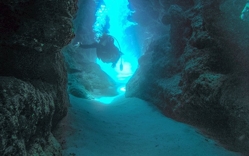 Scuba Dive with Vallarta Adventures|