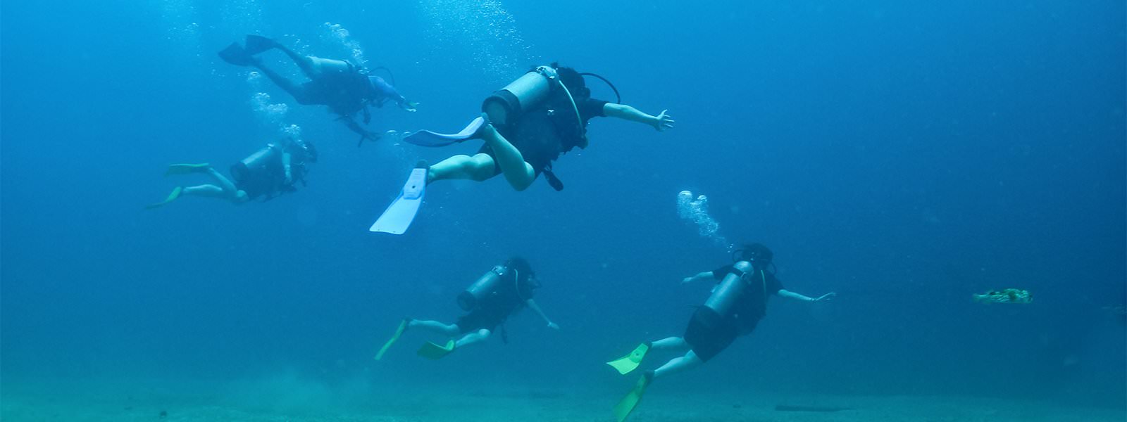 Scuba Dive with Vallarta Adventures