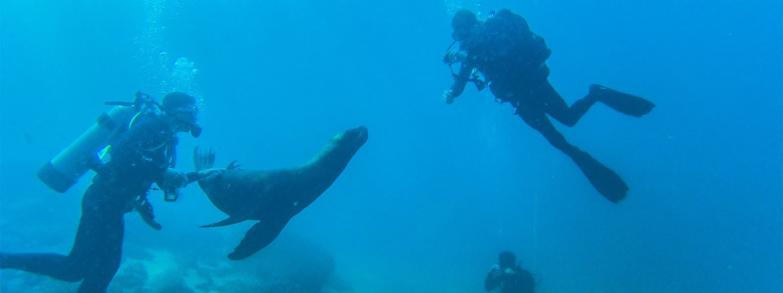 Scuba Dive at Las Caletas