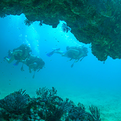 Scuba Dive with Vallarta Adventures for Certified divers 