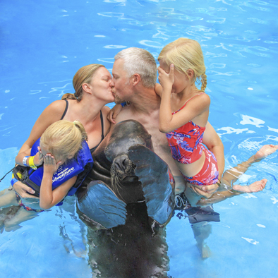 Photo with a sea lion | Dolphin Adventure | Vallarta Adventures