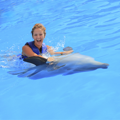 Dolphin Adventure  in Mexico | Vallarta Adventures