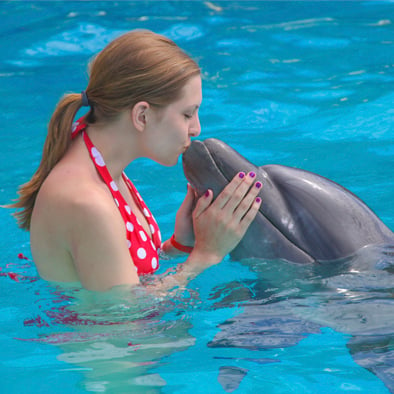 Private Family swim with Dolphins in Puerto Vallarta 