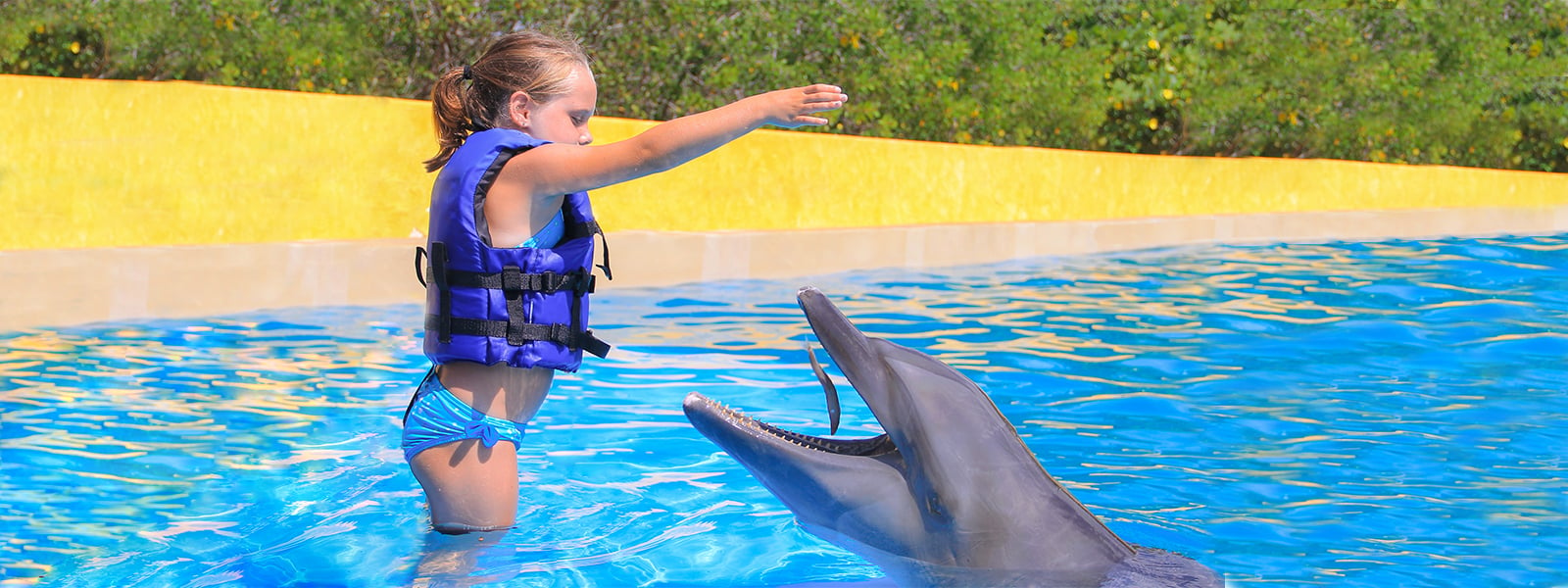 Dolphin swimming for kids | Swim with dolphins in Puerto Vallarta | Vallarta Adventures