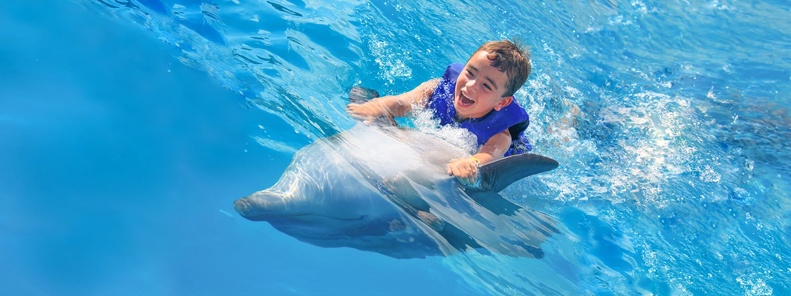 Kids swim with dolphins at Vallarta Adventures | Swim with dolphins in Puerto Vallarta | Vallarta Adventures