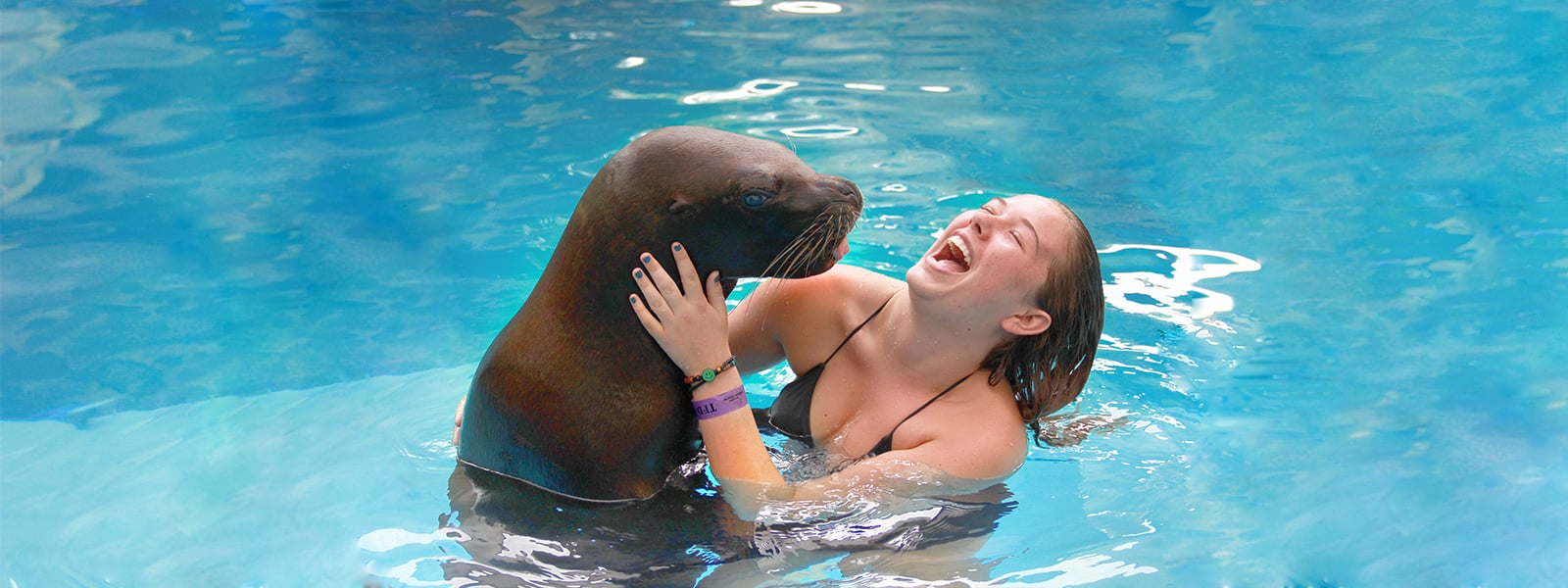 Swim with a funny sea lion in Puerto Vallarta | Dolphin Adventure