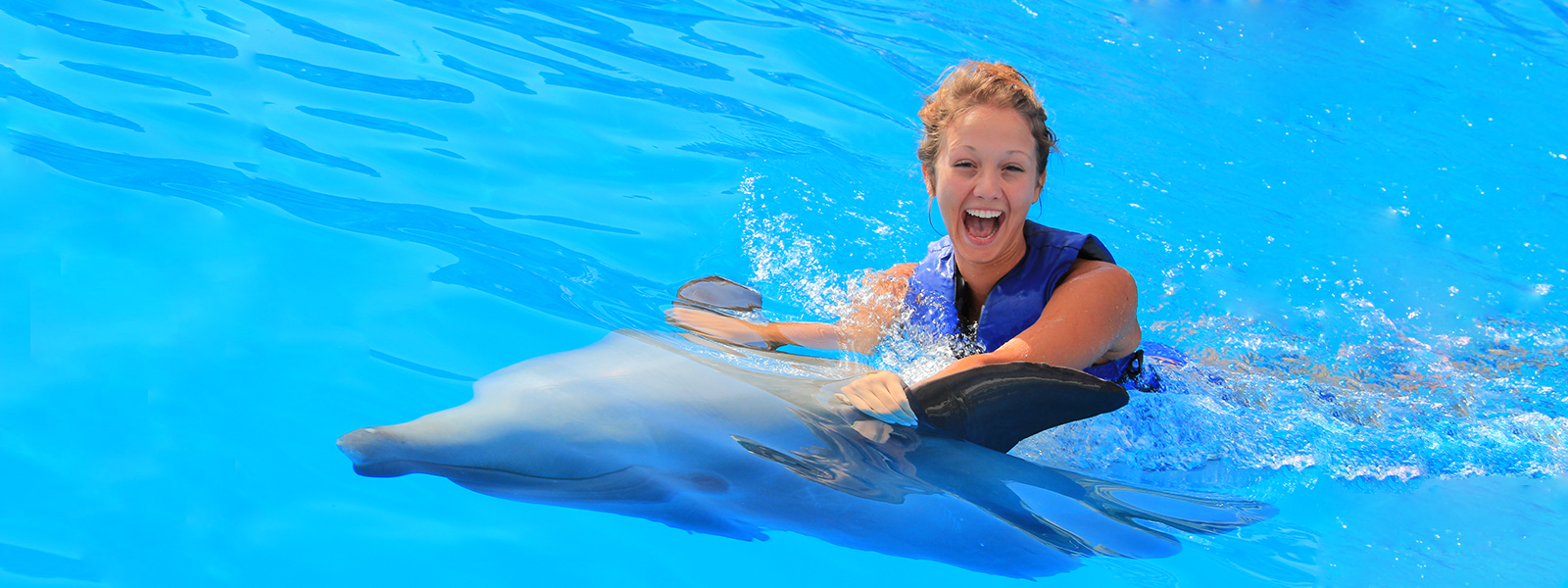 Private Dolphin swim & ride with Vallarta Adventures