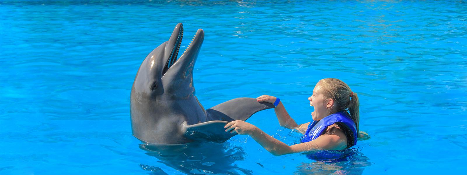 Private dolphin swimming in Puerto Vallarta