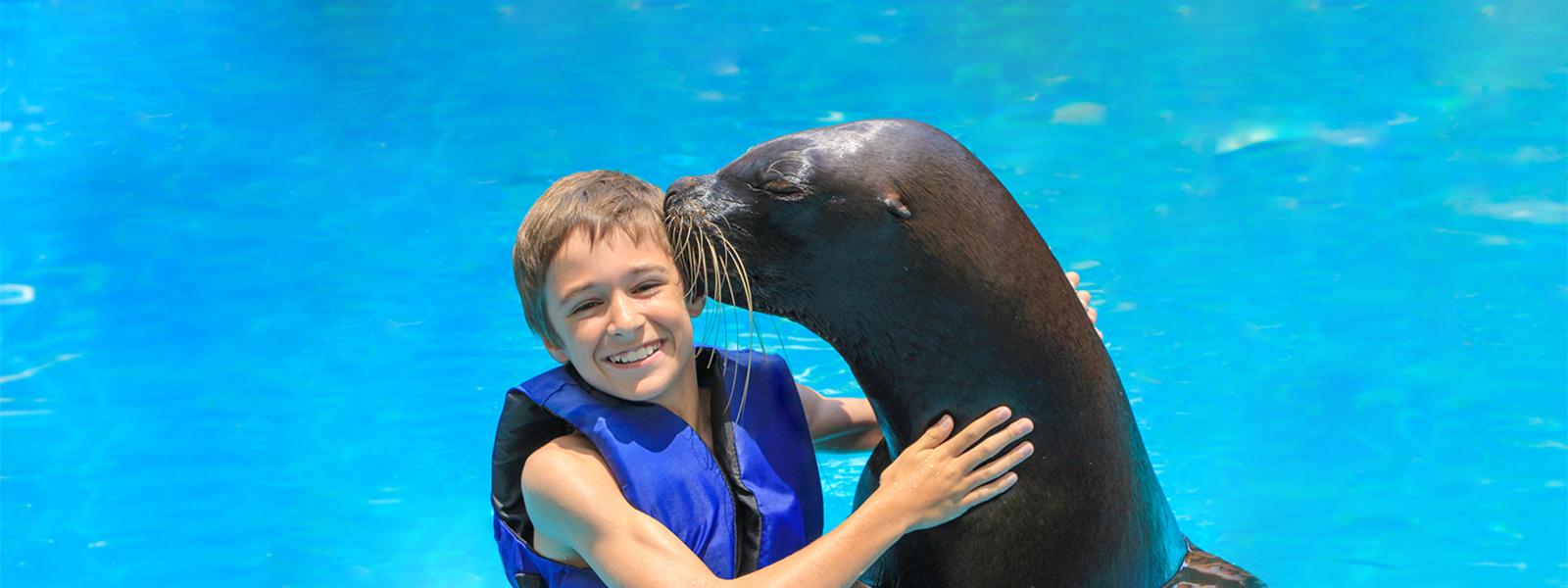 Swim with a Sea Lion in Puerto Vallarta  | Dolphin Adventure | Vallarta Adventures