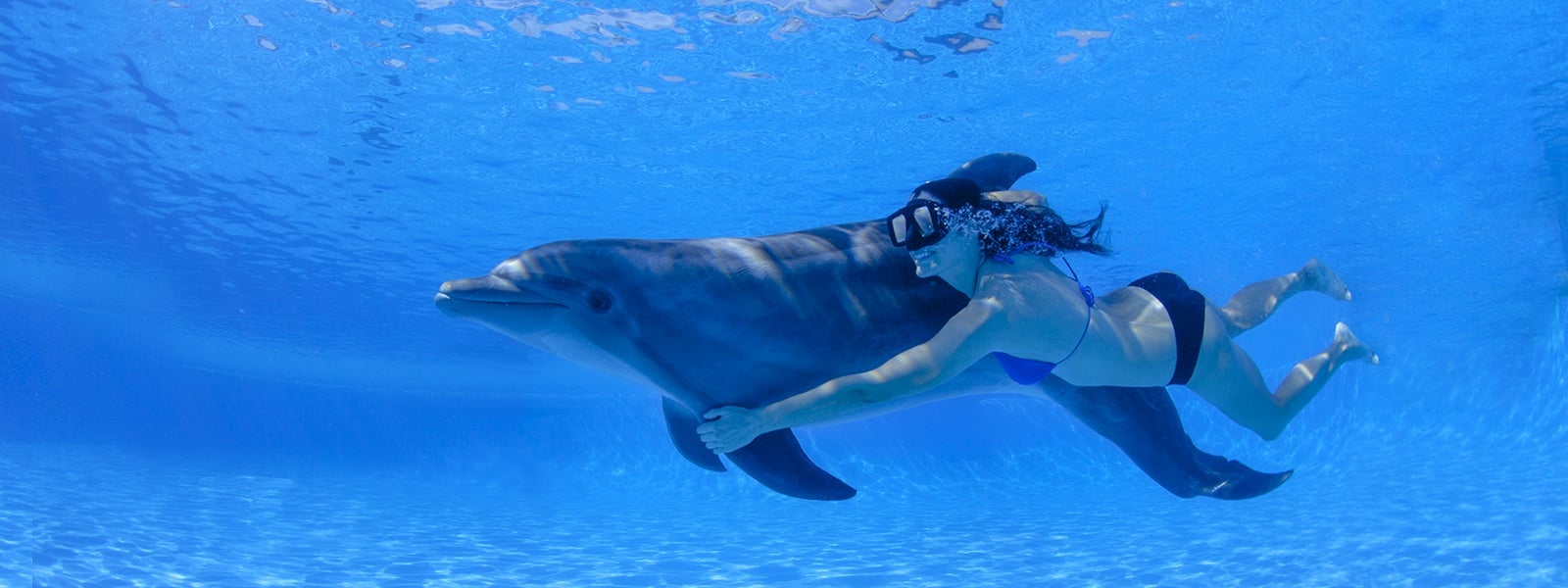 Underwater dolphin ride in Cabo