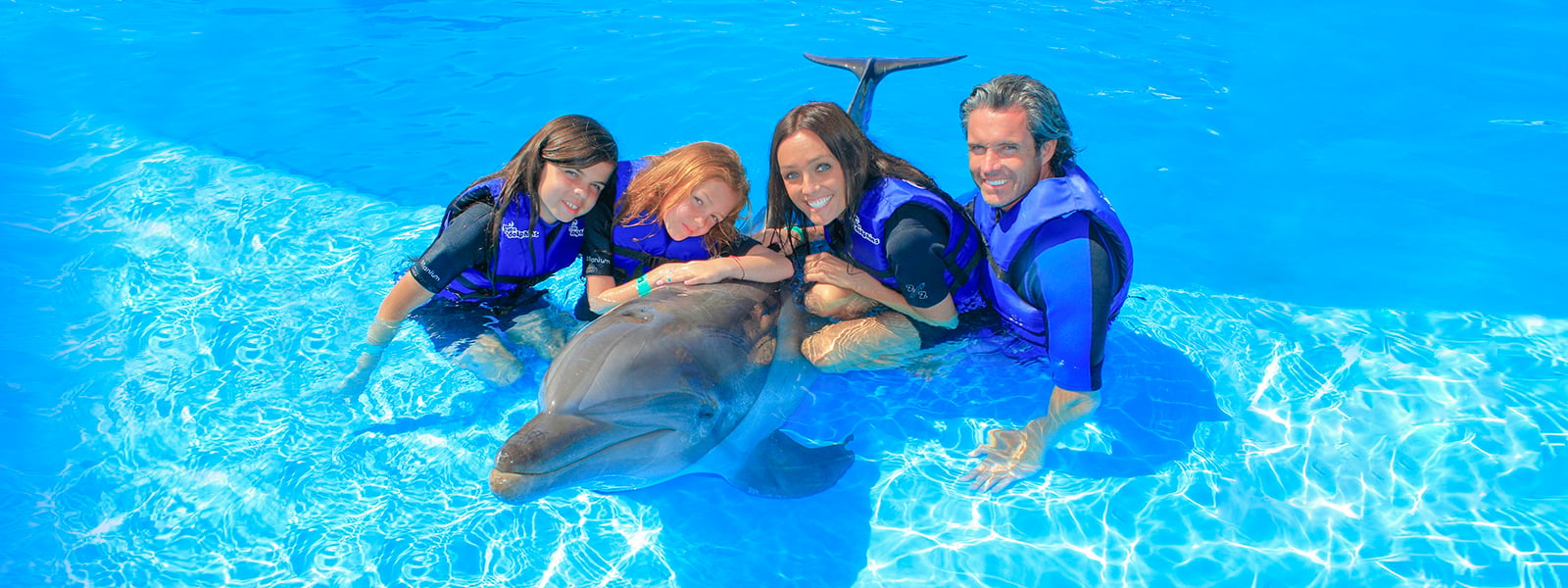 Swim with a dolphin in Dolphin Adventure | Vallarta Adventures