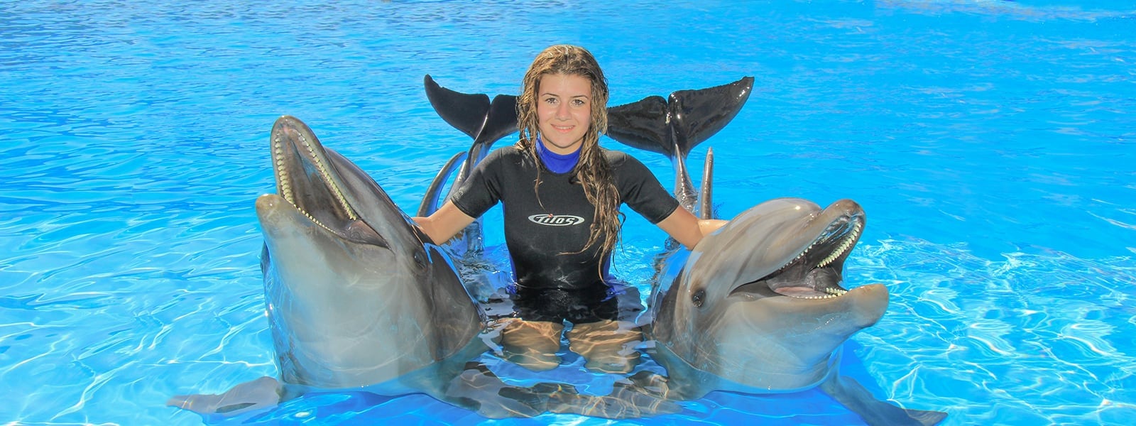  Swim with two dolphins in Cabo