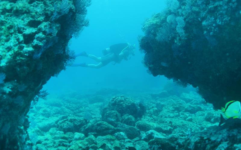 Scuba Diving with Vallarta Adventures|