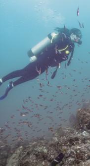 Scuba Diving Mexico