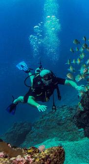 Go scuba diving in Las Caletas