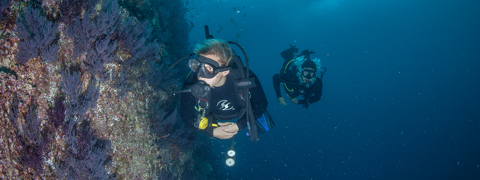 Scuba Diving with Cabo Adventures