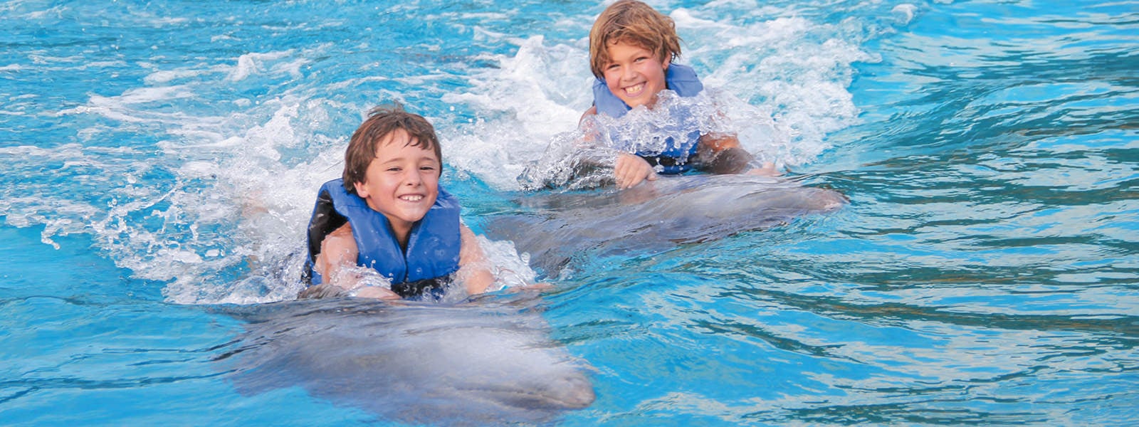 kids on a dolphin ride