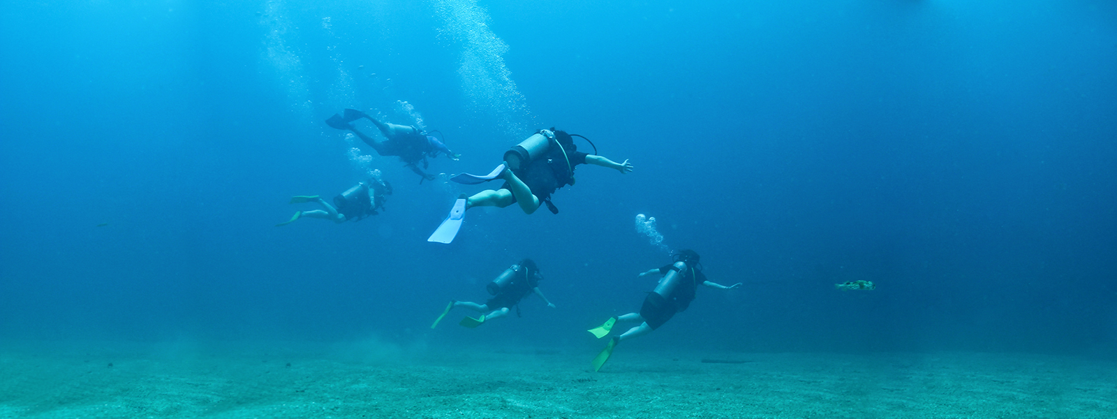 Scuba Dive on vacation in Puerto Vallarta