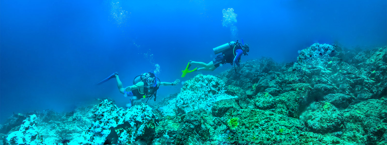 Scuba Dive on vacation in Puerto Vallarta