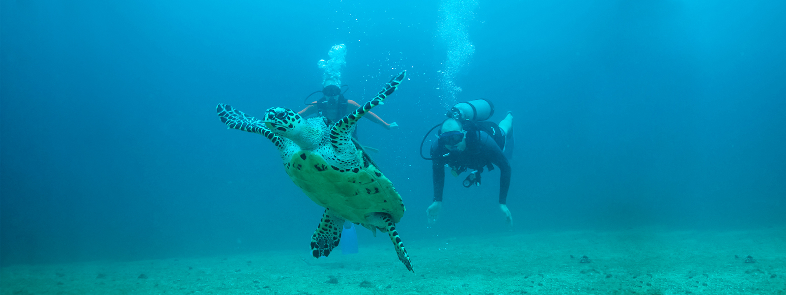 Scuba Diving with Vallarta Adventures