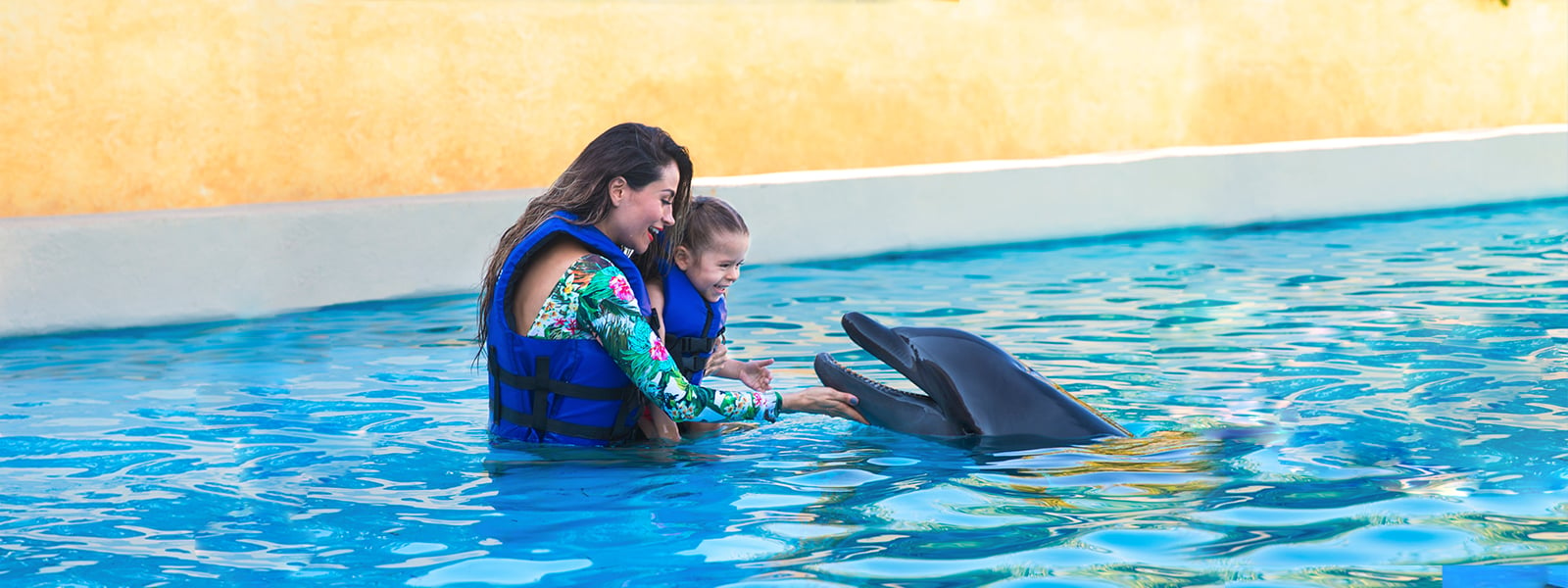 Should You Swim With Dolphins - Blue Wave Adventures Dolphin Cruise