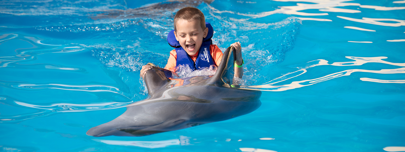 Dolphin kiss photo with Cabo Adventures