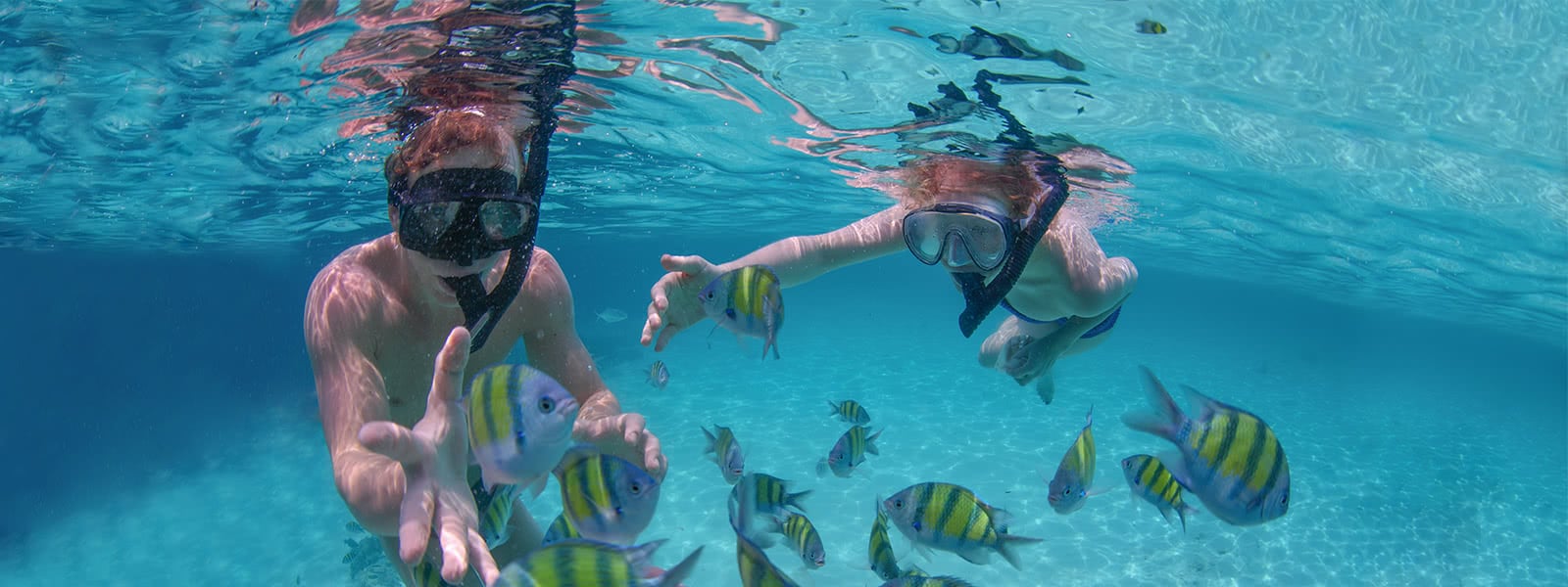 Snorkeling in Los Cabos