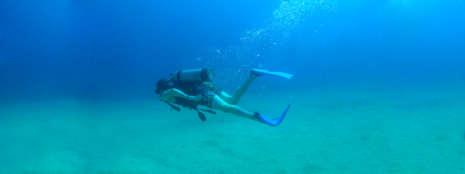 Scuba Dive with Vallarta Adventures