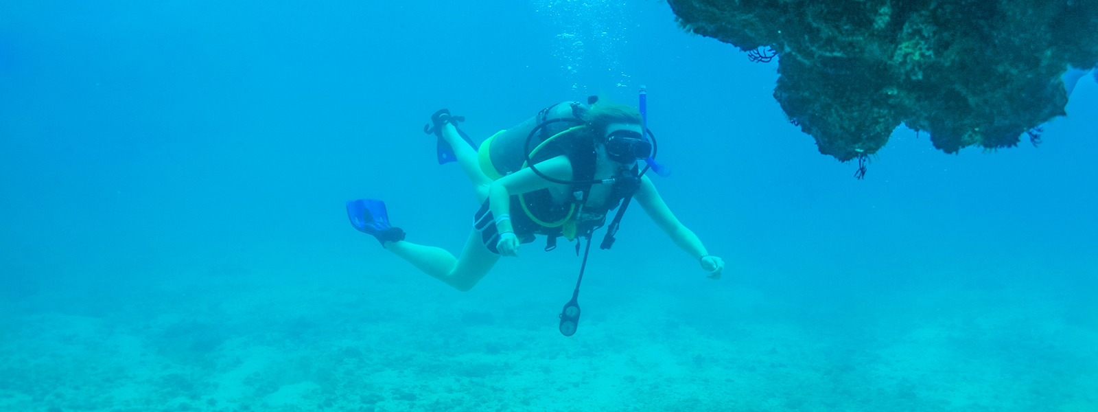 Scuba Diving with Vallarta Adventures